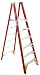 Tools & Hardware : Werner P6206 6-Foot 300-Pound Duty Rating Fiberglass Platform Ladder