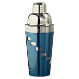 Martini Shaker with Recipes