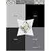 Black Jack, Volume 2 (Black Jack (Vertical)) (v. 2)