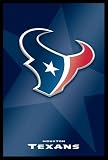 Houston Texans Nfl Logo Tony Banks Football Carr Art Framed Poster Print - 24