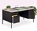 HON Metro Classic Series 30x60 Double Ped Desk - Rectangle - 2, 2 Drawer, Drawer - 29.5