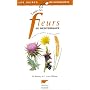 Toutes les fleurs de Méditerranée