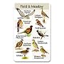 Identiflyer Additional SongCard-Field & Meadow