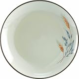Arc International - 5000169 - Lot De 6 Assiettes - Grés Moisson - 27 Cm