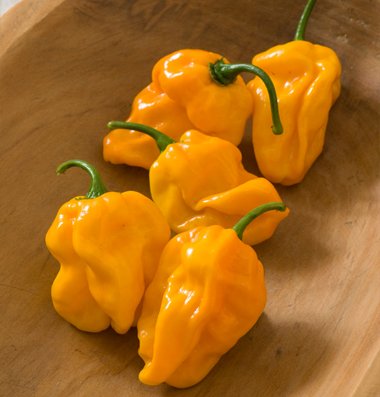 Pepper Hot Habanero Numex Suave Orange D3024A (Yellow Orange) 50 Organic Seeds By David's Garden Seeds Pepper Hot Habanero Numex Suave Orange D3024A (Yellow Orange) 50 Organic Seeds By David's Garden Seeds