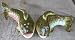 Freshwater Rainbow Trout Fish Salt & Pepper Shakers S/P
