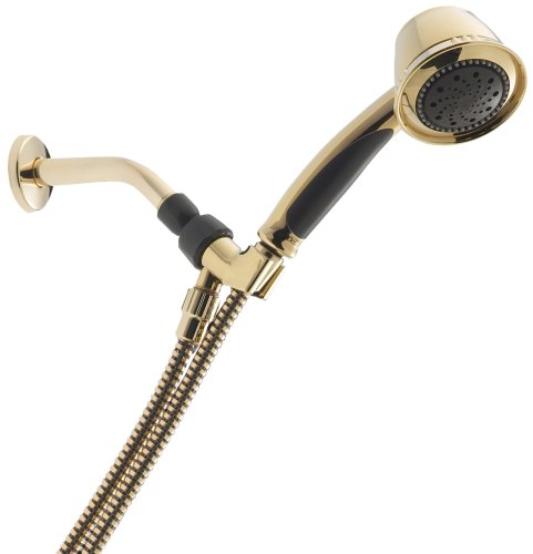 Delta 75520PB Five-Spray Hand Shower, Polished Brass