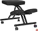Ergonomic Kneeling Posture Office Chair [WL-1420-GG]