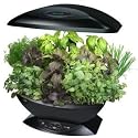 Aerogarden - AG01 - Jardin Int&eacute;rieur Automatis&eacute; - Noir