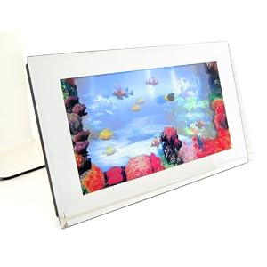3d tropical aquarium wall