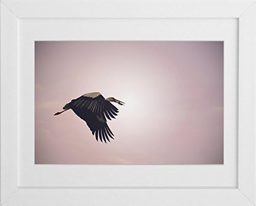 Animal Photography - 'Flying Home' - Stork Fine Art Nature Photography Print by Sophie Takes Photos