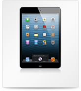 iPad Mini
