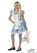 Alice Fairytale Junior Teen Holiday Party Costume