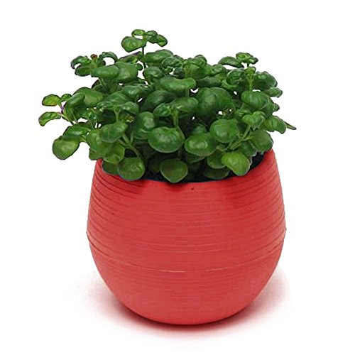 Colourful Cute Round Plastic Plant Flower Pot Home Office