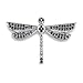 Sparkling Fantasy: Sterling Silver Dragonfly title=