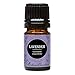 Edens Garden Lavender Essential Oil, 100% Pure Therapeutic Grade (Skin Care & Stress) 5 ml