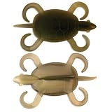 Bombshell Turtle