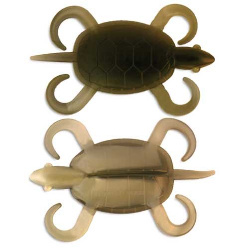 Bombshell Turtle