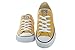 Converse Chuck Taylor All Staras Unisex Low Top