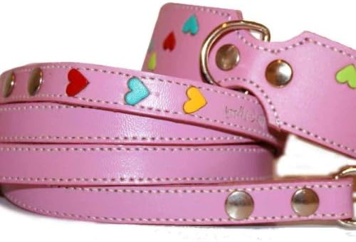 The Cool Puppy Tuff Love Leather Dog Collar and Leash Set with Hearts - Pink Large (12-14 inches)