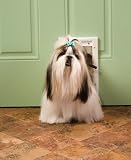 Petsafe Small Premium White Plastic Pet Door