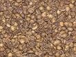 Decafe Sumatra Green Coffee Beans - 5lbs