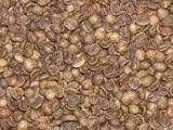 Decafe Costa Rica Green Coffee Beans - 3lbs