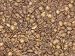 Decafe Costa Rica Green Coffee Beans - 3lbs