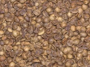 Decafe Costa Rica Green Coffee Beans - 3lbs by U-Roast-Em, Inc.