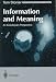 Image of Information and Meaning: An Evolutionary Perspective