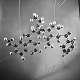 Model of N-Benzoyl-8-Carbethoxy-Quinotoxine Molecule Used in the Creation of Synthetic Quinine Photographic Poster Print, 24x24
