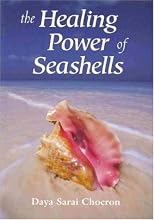 The Healing Power of Seashells: Gifts of the Sea