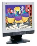 ViewSonic Vx900-2 19 LCD Monitor (Silver/Black)