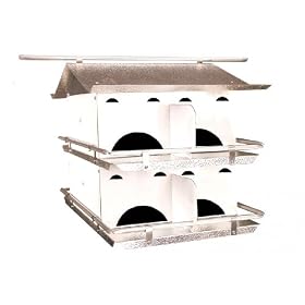 Birds Choice Starling Resistant Entrance Holes 2 Floor-8 Room Purple Martin House by 