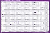 Electronics : Sasco 2008-09 Academic Year Planner August to July Mounted W915xH610mm Ref 2400378