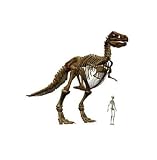 T-rex - 24H x 24W - Peel and Stick Wall Decal by Wallmonkeys