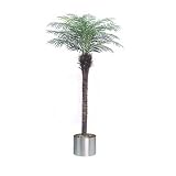Review i-koncepts Ltd  / 6ft Robellini Palm - Artificial Plant