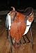 Sydney Saddleworks