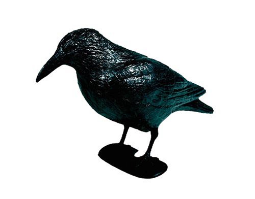 QUEENSGARDEN 551983 Rabe schwarz 38 cm mit Stab + Fuessen Kunststoff
