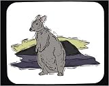 Decorated Mouse Pad with australia, rock, kangaroo, gray, wallaby
