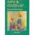 Hay and Stardust: Resources for Christmas to Candlemas