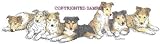 Collie - Puppies in a Row by Cindy Farmer