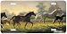 Brand New Hope - Western Wild Horse Decor Art Print - License Plate Tag By Nancy Glaz...