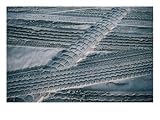 4Wd Tyre Tracks on Sand, Fraser Island, Queensland, Australia Photographic Poster Print by Tony Wheeler, 40x30