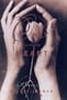 Only With the Heart: A Novel
