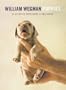 Wegman Puppies Little Notes: 16 Assorted Notecards and Envelopes