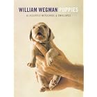 Click here to buy Wegman Puppies Little Notes: 16 Assorted Notecards and Envelopes (Little Notes) by  William Wegman.