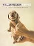 Wegman Puppies Little Notes: 16 Assorted Notecards and Envelopes (Little Notes)