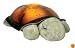 Cloud b Twilight Turtle - Constellation Night Light