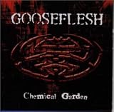 Chemical Garden